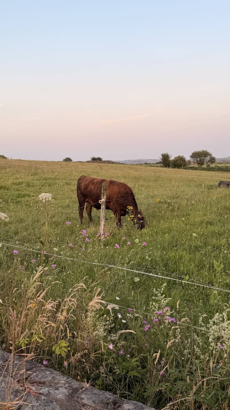Greenville Pastoral Fields - Image 1
