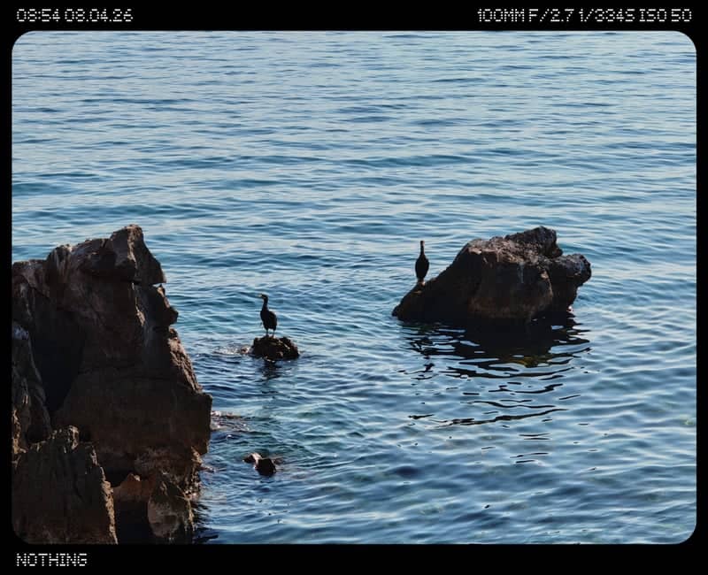 Opatija Coastal Rocks - Image 1