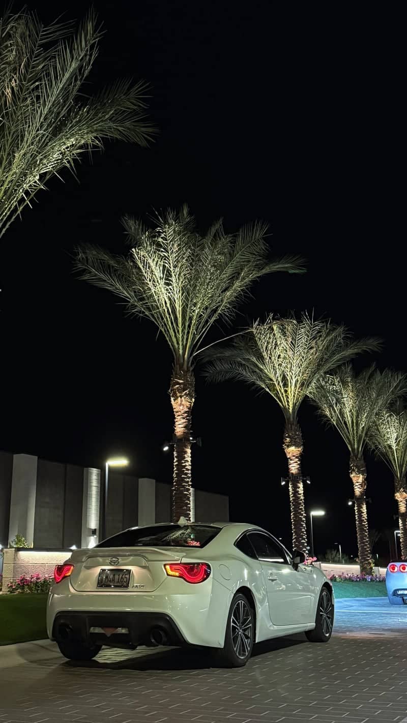 Verrado Palm-Lined Drive - Image 1
