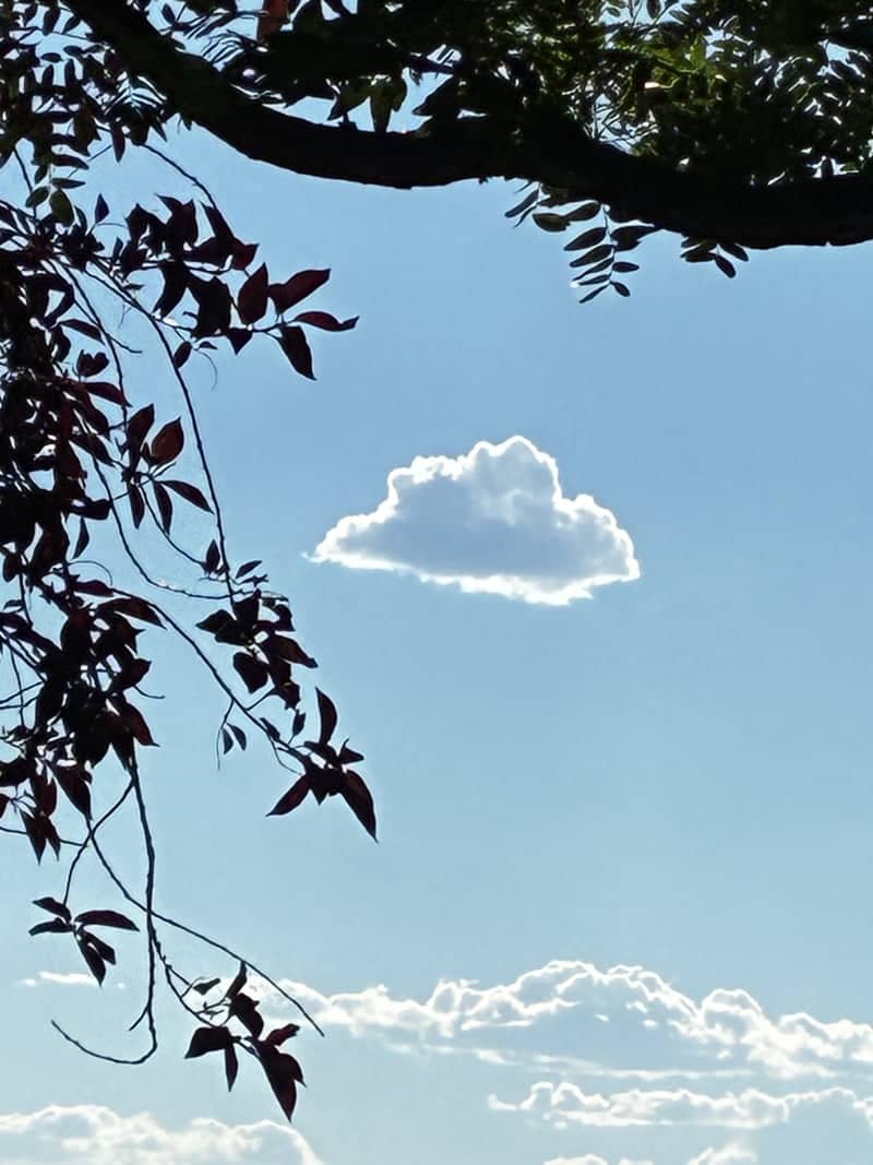 Sunshine Road Sky View - Image 1