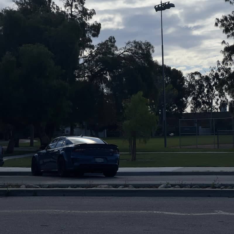 Las Palmas Park - Image 1