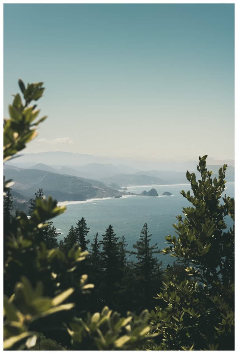 Port Orford Heads State Park - Image 2