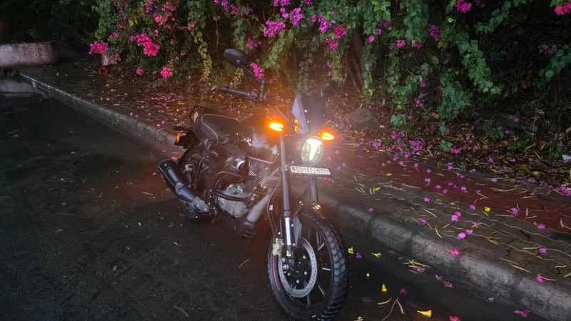 Gandhinagar Floral Roadside - Image 1