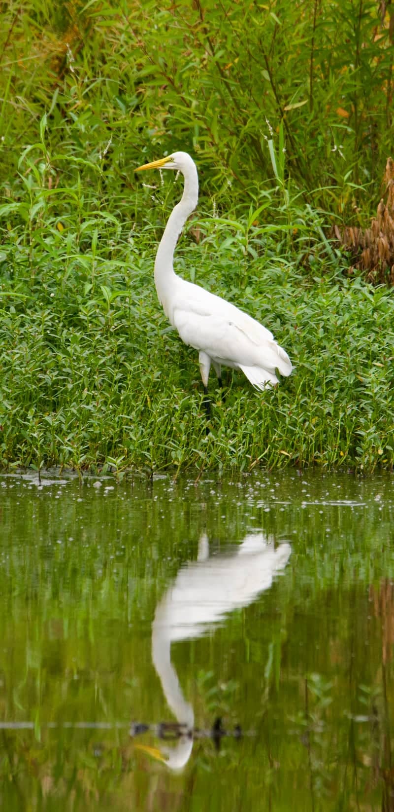 Woodlands Nature Station - Image 1