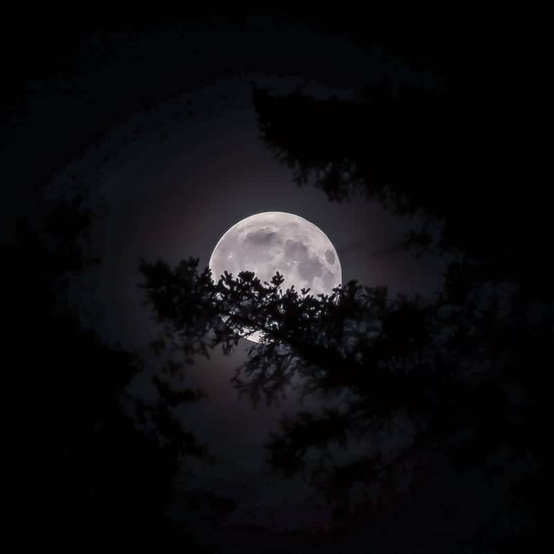 Skiveren Forest Moonscape - Image 2