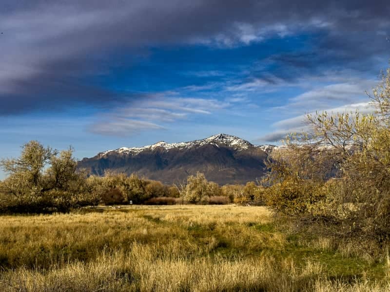 Wasatch Mountain View from Ogden - Image 1