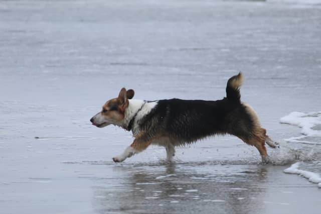 Oceanside Beach - Image 1