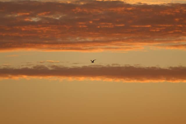 Oceanside Beach Sunset - Image 1