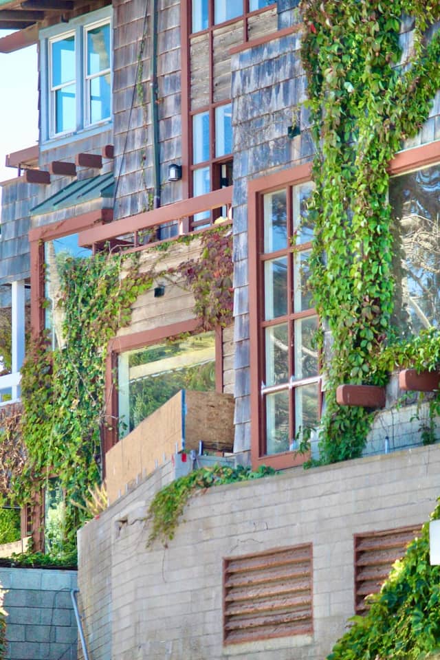 Ivy-Covered Coastal Building - Image 1