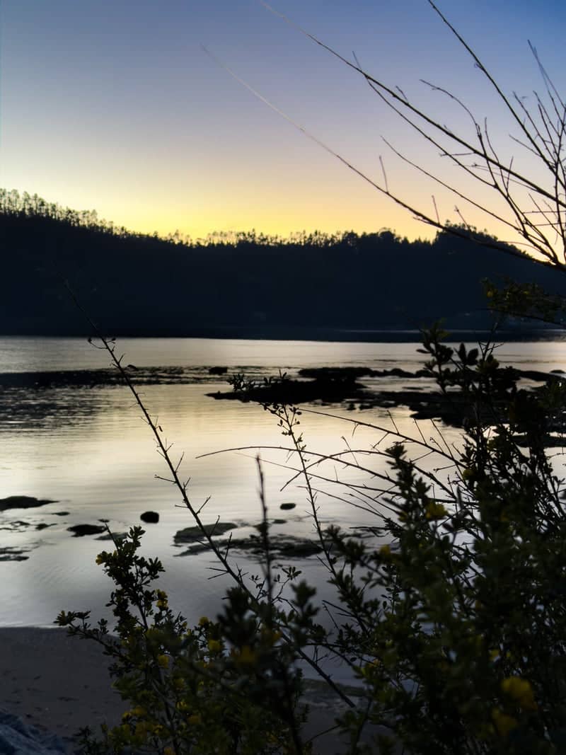 Vegas de Itata Estuary - Image 1