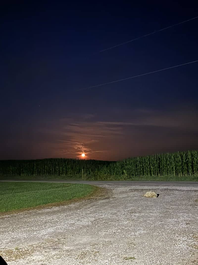 Sorento Farmland Moonrise - Image 1
