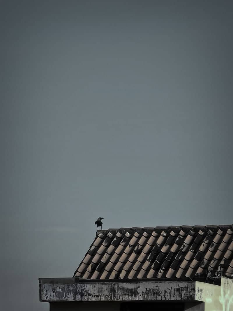 Cuddalore Rooftop Silhouette - Image 1