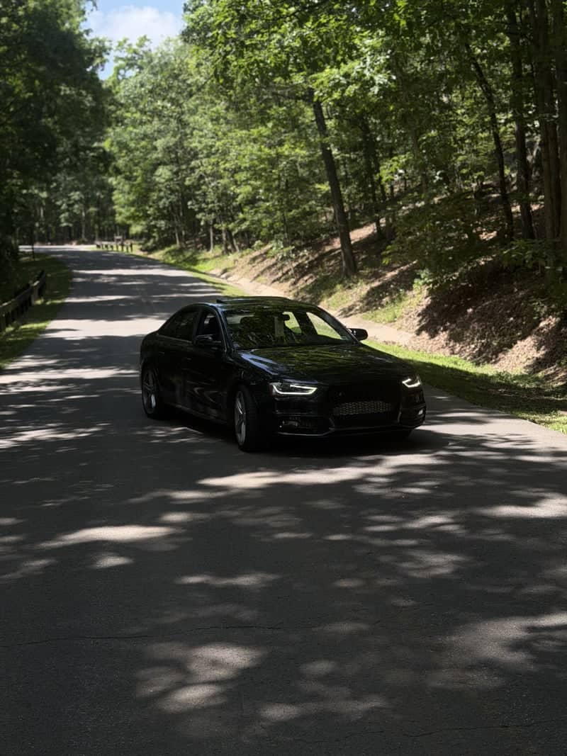 Rocky Gap State Park Forest Road - Image 1
