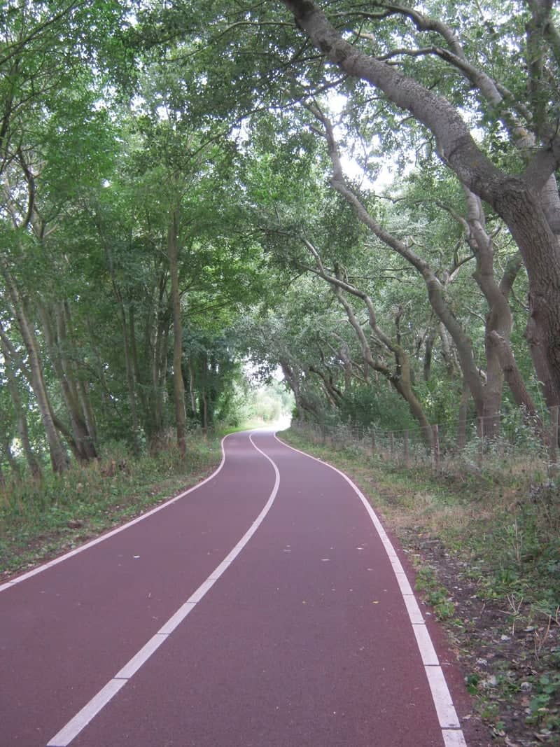 Panbos Forest Cycle Path - Image 1