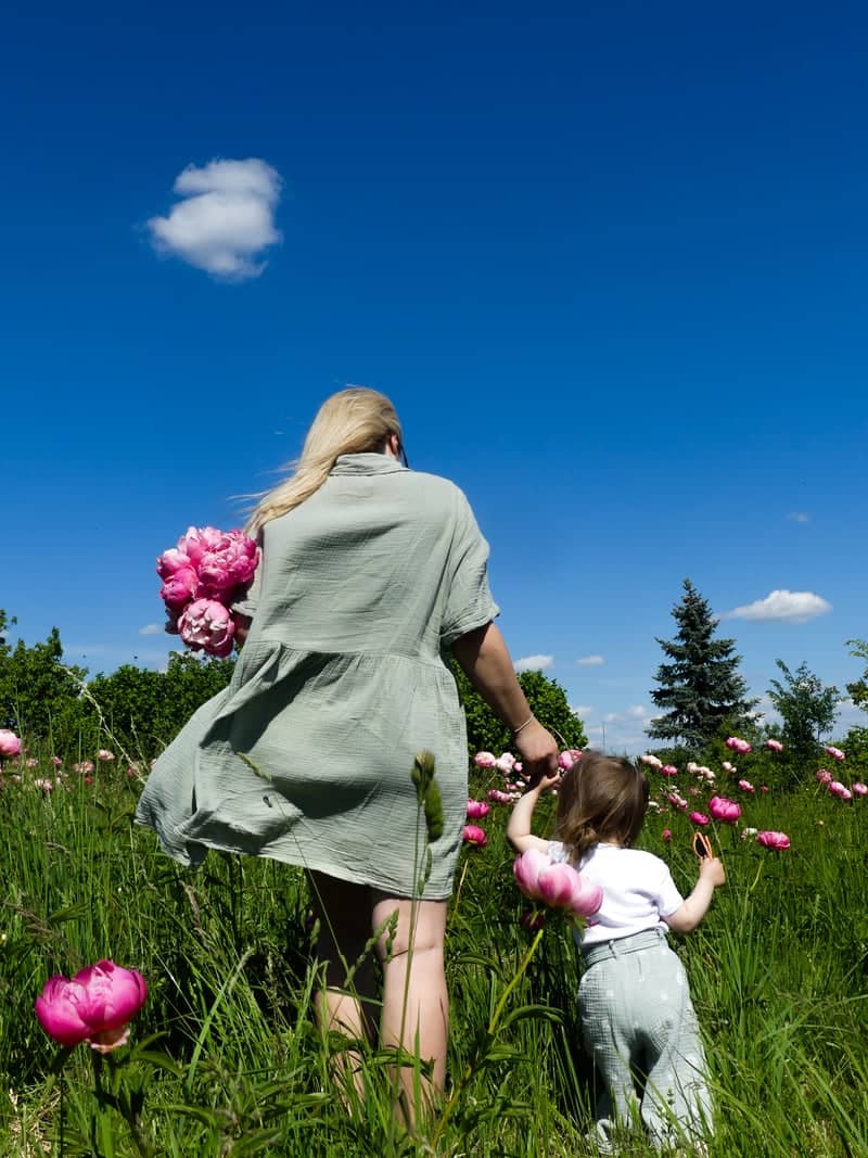 Molvice Peony Fields - Image 1