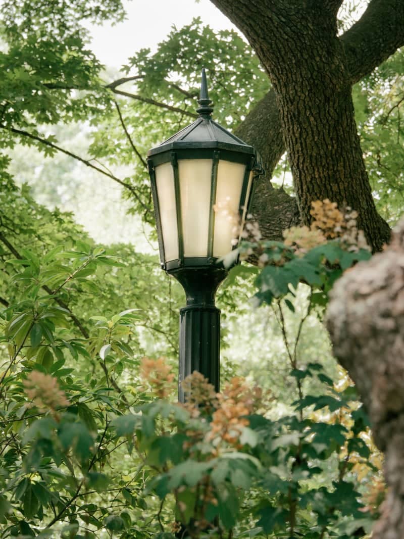 UNC Chapel Hill Campus - Image 1