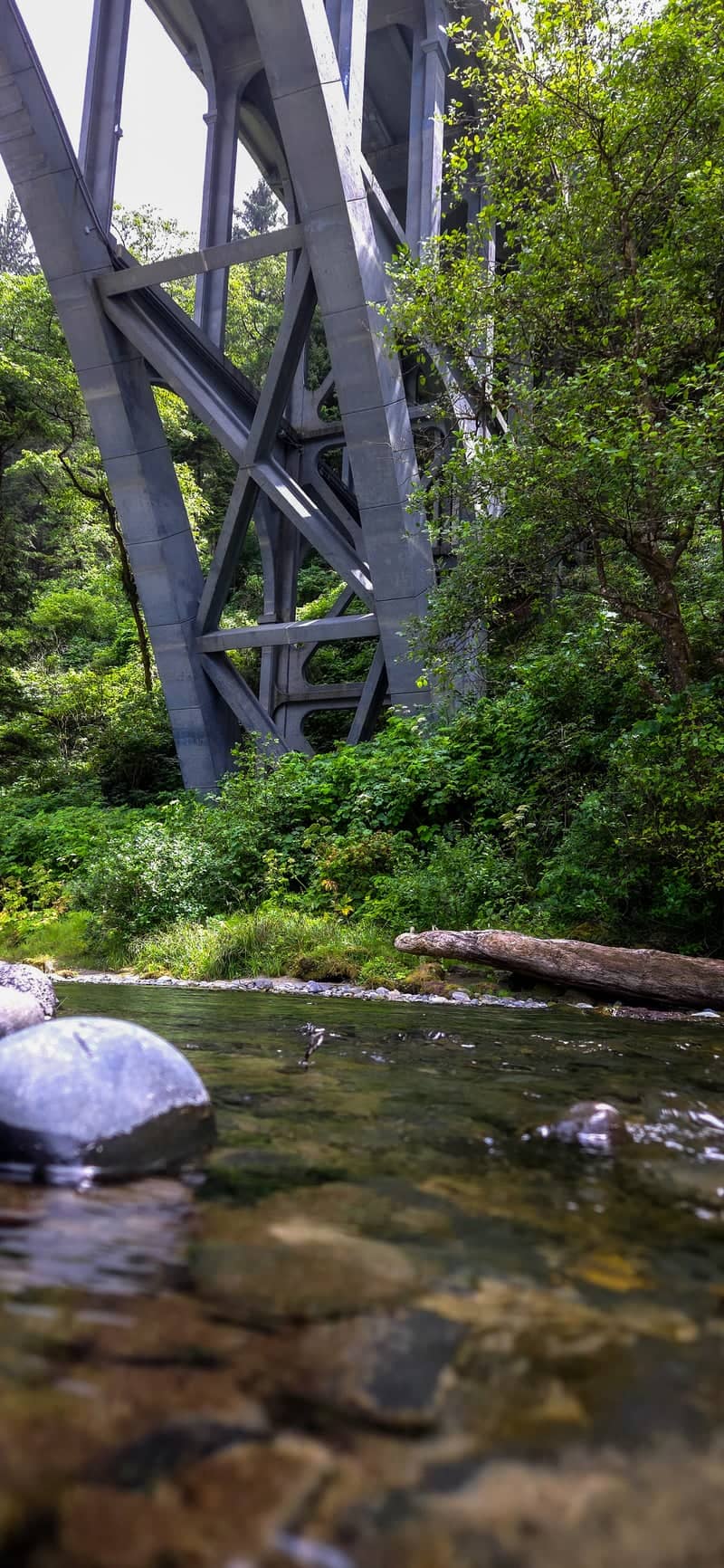 Cape Creek Bridge - Image 1
