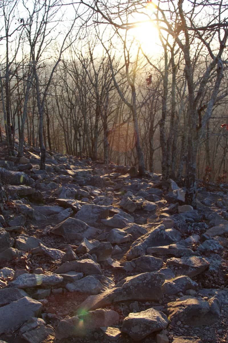 Pinnacle Mountain State Park - Image 1
