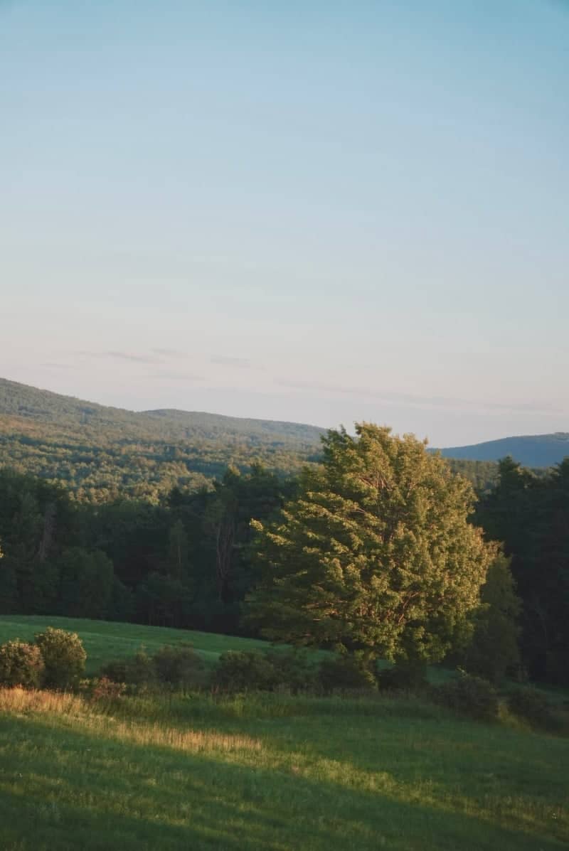 New London Hillside View - Image 1