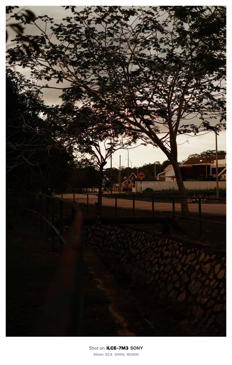 Bota Suburban Roadside - Image 1