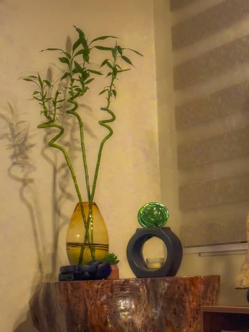 Lashibi Interior Still Life - Image 1