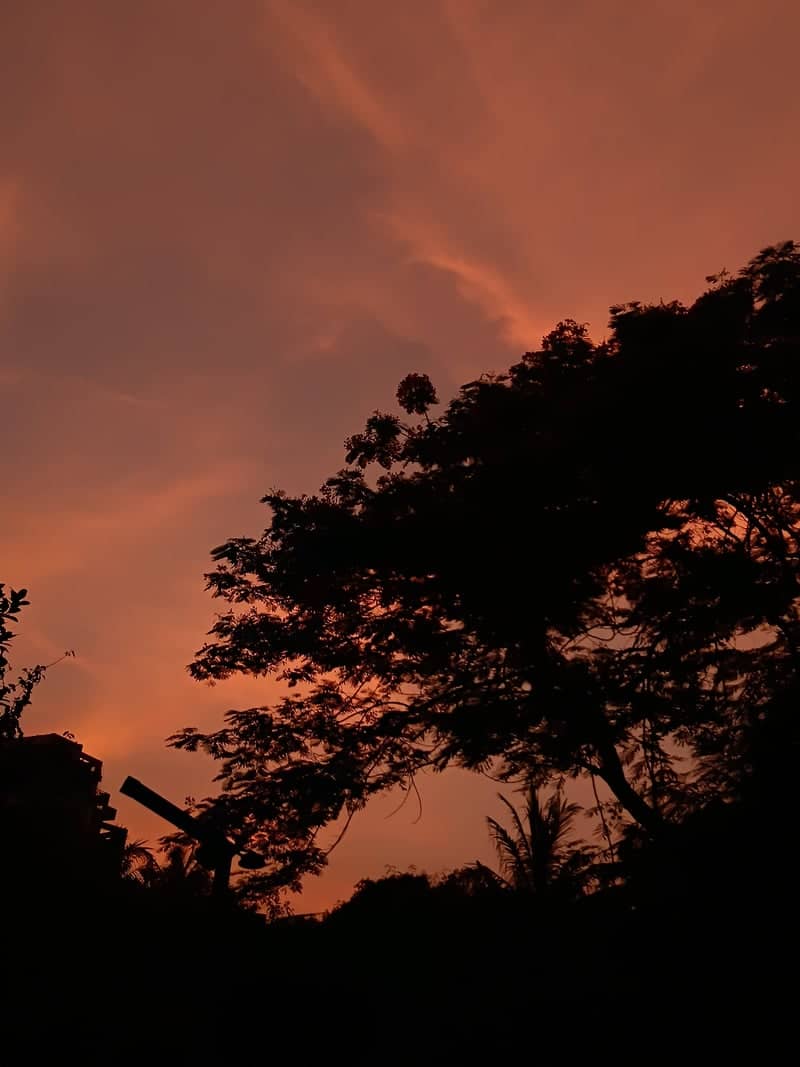 Dhaka Sunset Silhouette - Image 1