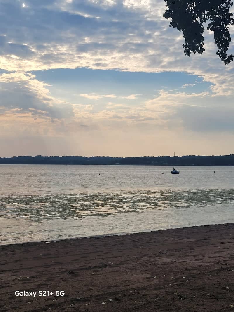 Buffalo Lake Shoreline - Image 1