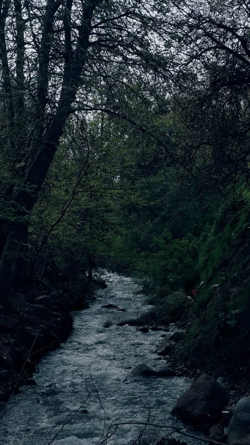 Parkent Mountain Stream - Image 1