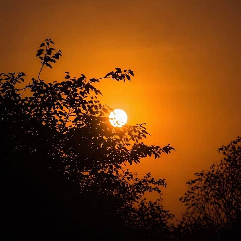Parkent Foothills Sunset - Image 1