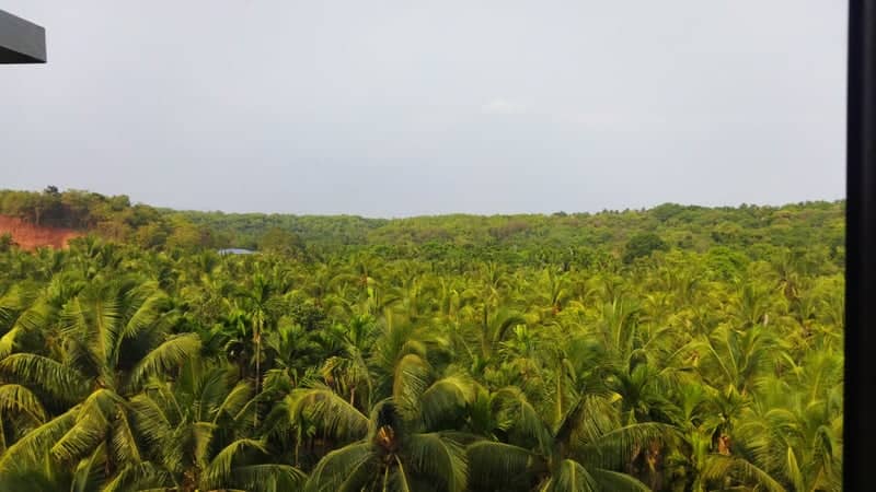 Honnavar Palm Canopy Overlook - Image 1