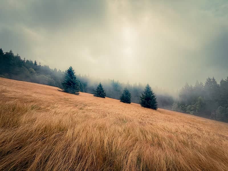 Altmünster Alpine Meadows - Image 1