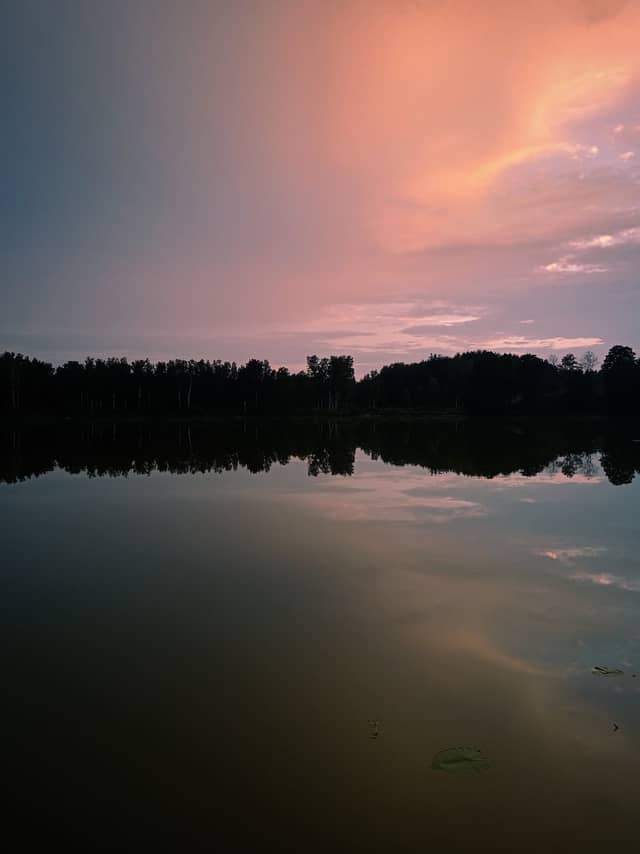 Lake Wadąg Shoreline - Image 1