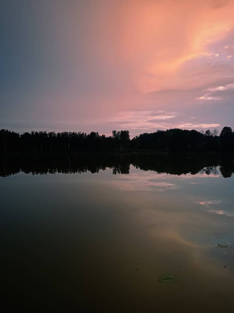 Lake Wadąg Shoreline - Image 1