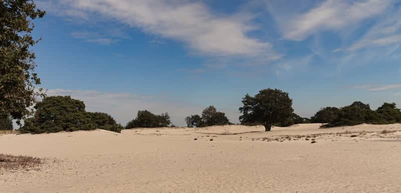 Aekingerzand (Kale Duinen) - Image 2