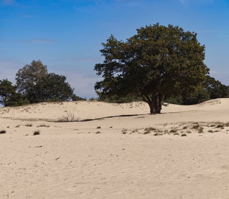 Aekingerzand (Kale Duinen) - Image 1