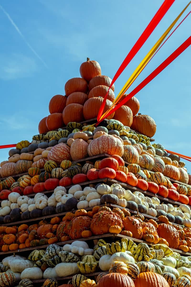 Gertrudenhof Pumpkin Pyramid - Image 1