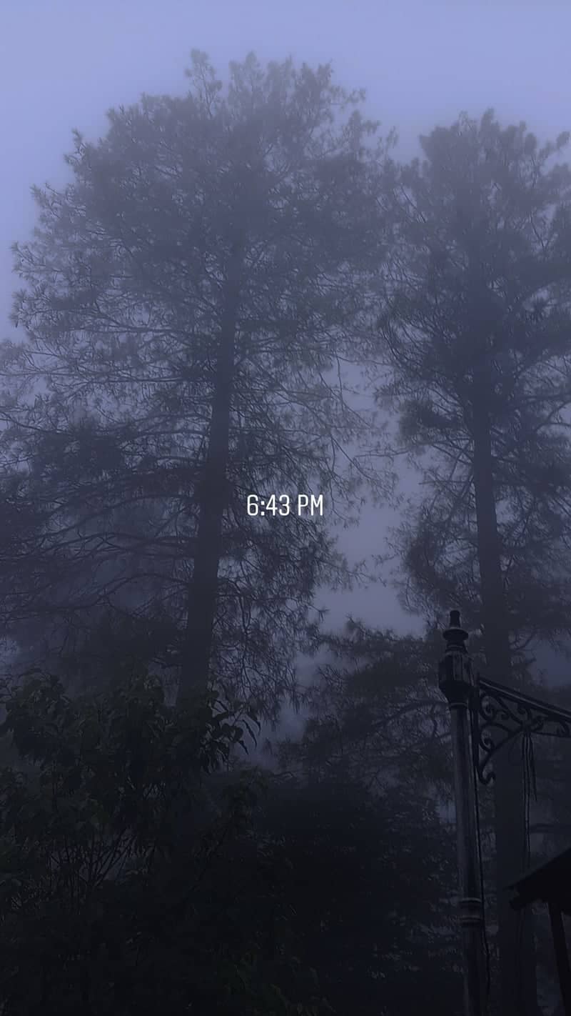 Misty Pine Forest of Abbottabad - Image 1