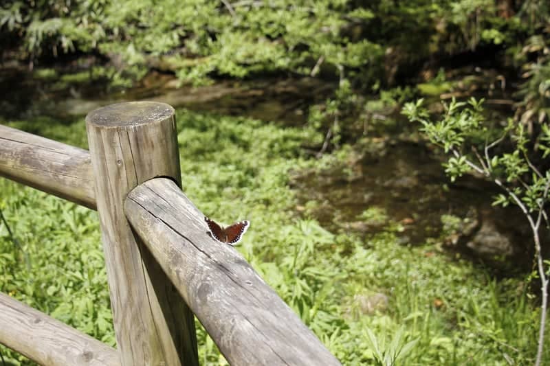 Kiso Valley Nature Trail - Image 1