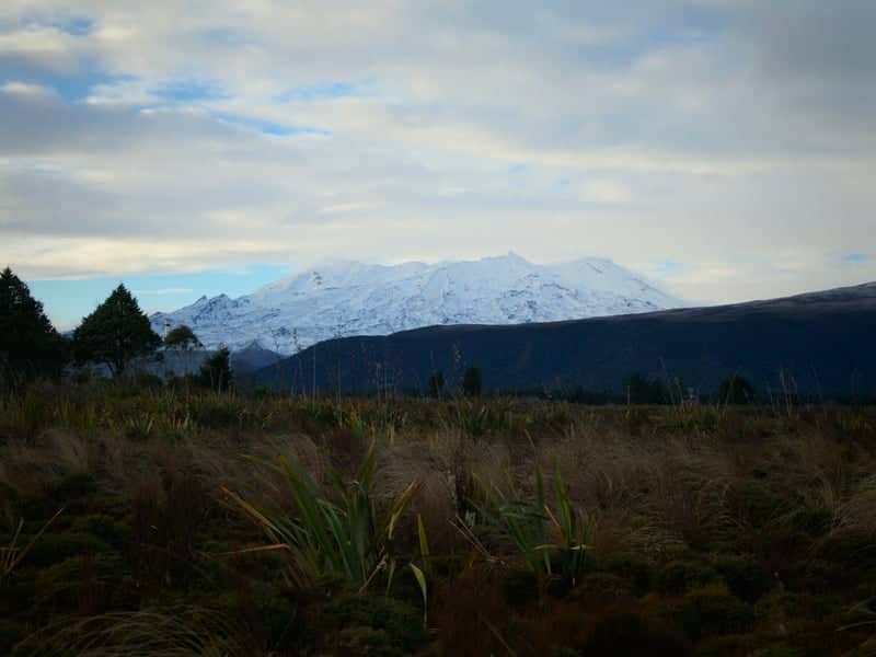 Mount Ruapehu Viewpoint - Image 1