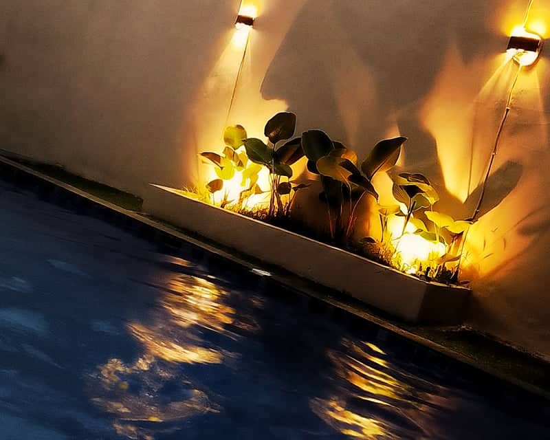 Illuminated Poolside Garden - Image 1
