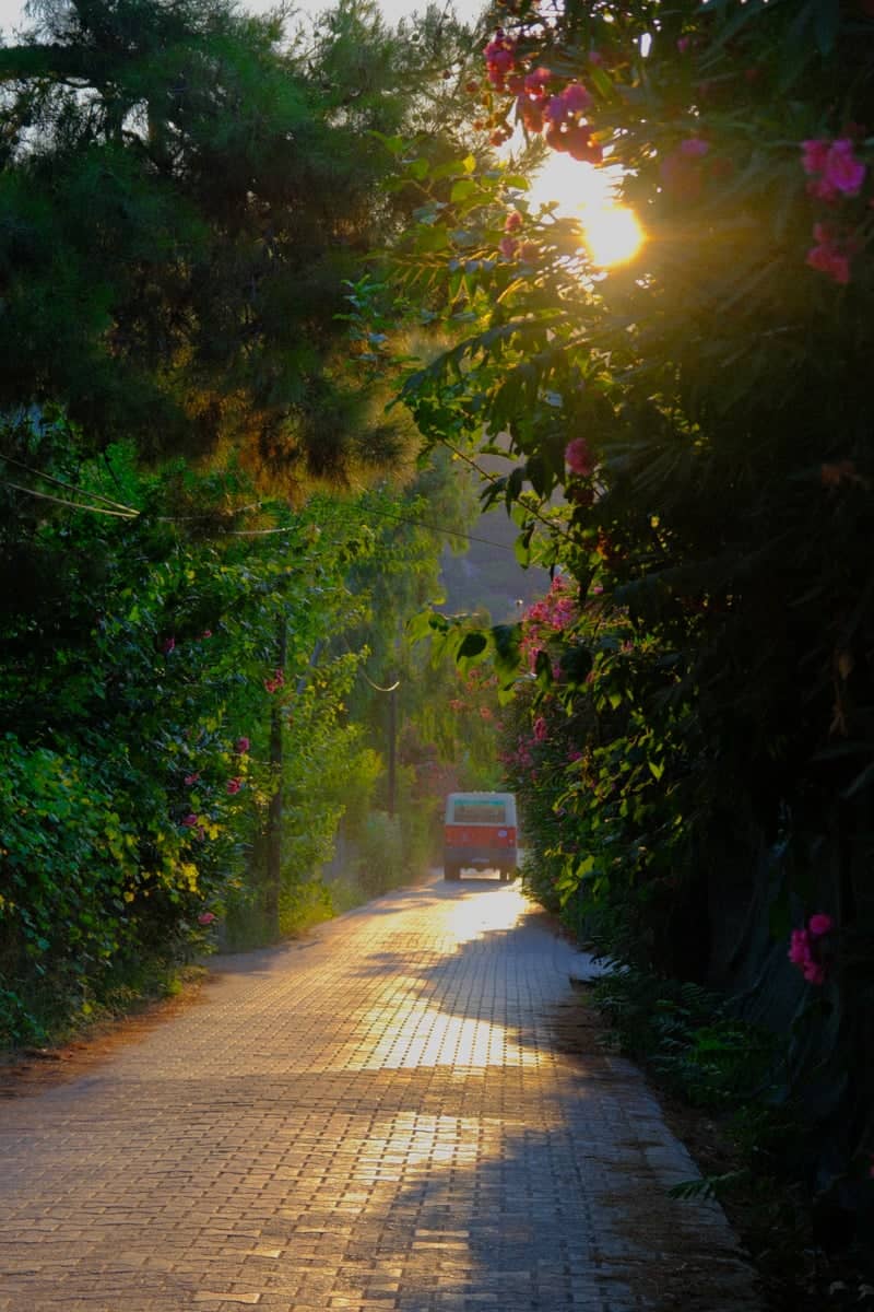 Ulupınar Village Road - Image 1