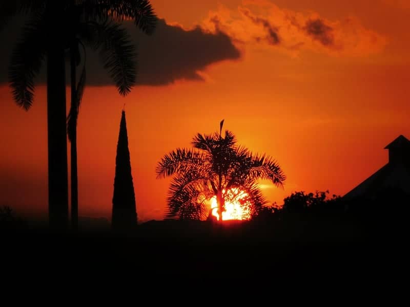 Cartago Sunset Silhouette - Image 1