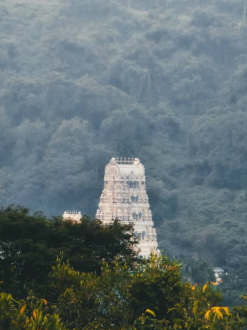 Varaha Lakshmi Narasimha Temple, Simhachalam - Image 1