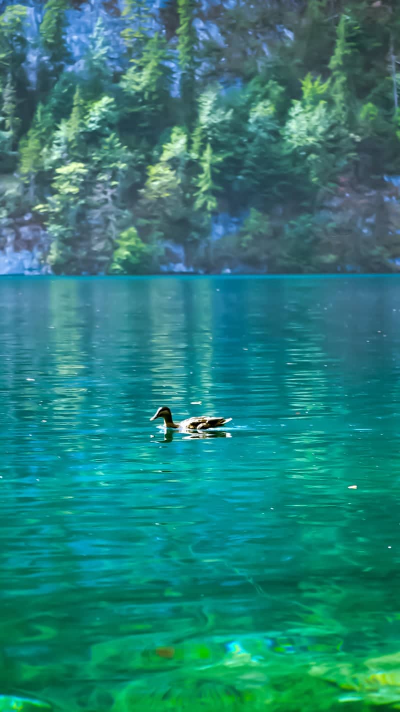 Malerwinkel, Königssee - Image 1