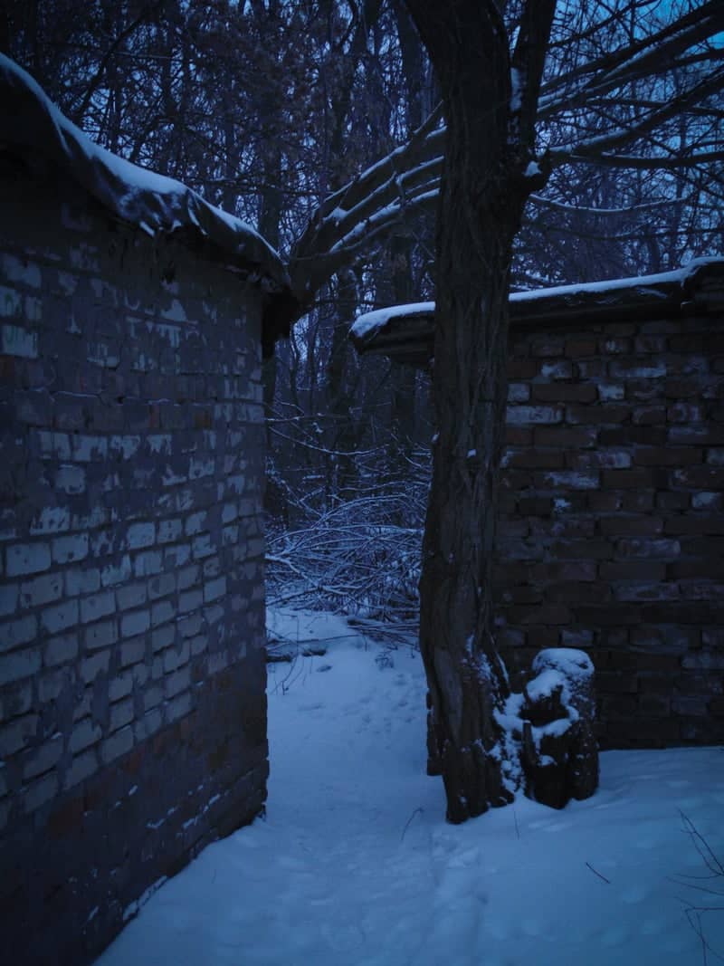 Zverevo Winter Courtyard - Image 1