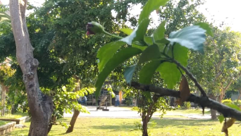 Gresik Garden Foliage - Image 1