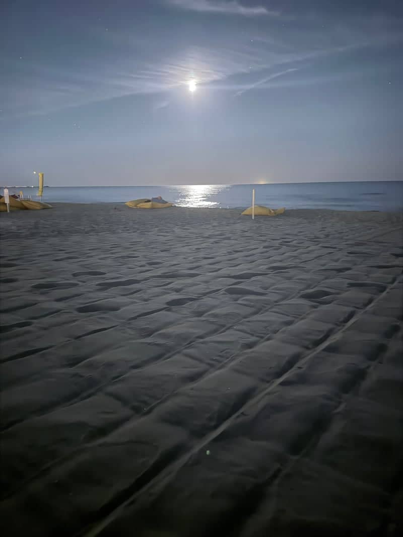 Viareggio Beach Nightscape - Image 1