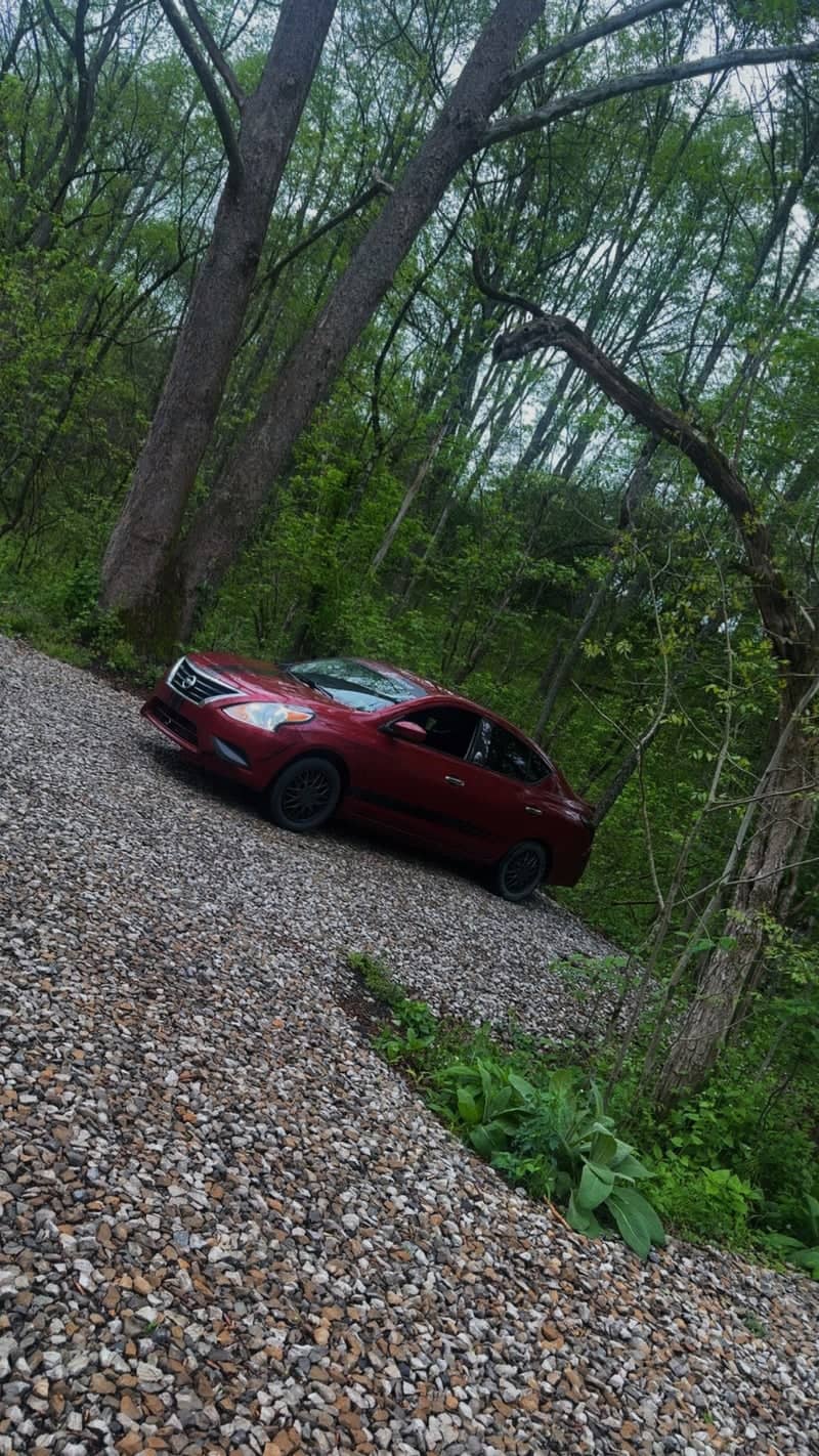 Bloomingdale Forest Road - Image 1