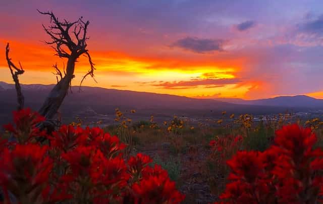 Geiger Grade Sunset Overlook