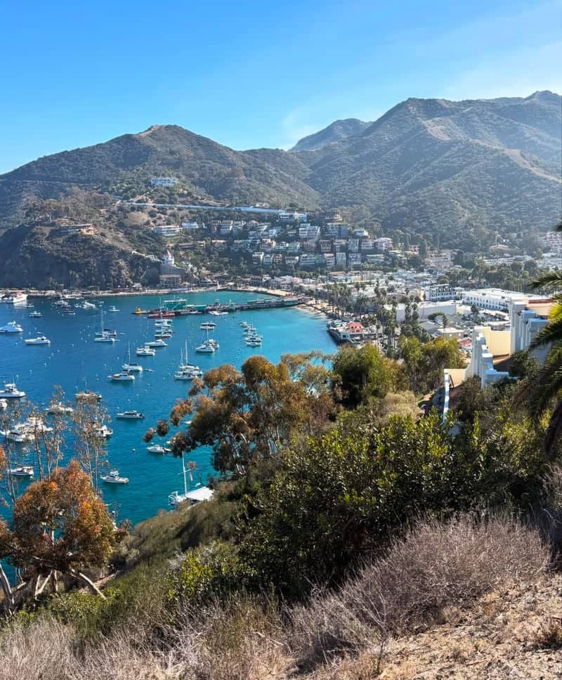 Avalon Harbor Overlook - Image 1